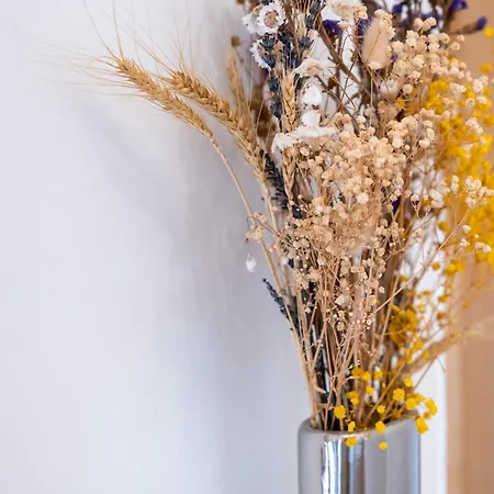 Bed & Breakfast La Maison Charentonneau Maisons-Alfort