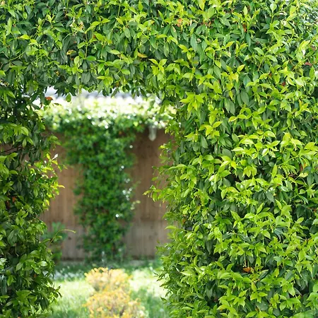 La Maison Charentonneau Bed & Breakfast